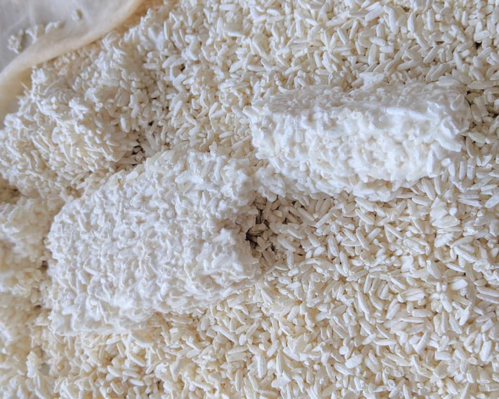Beras koji — hasil fermentasi koji untuk miso dan shiokoji